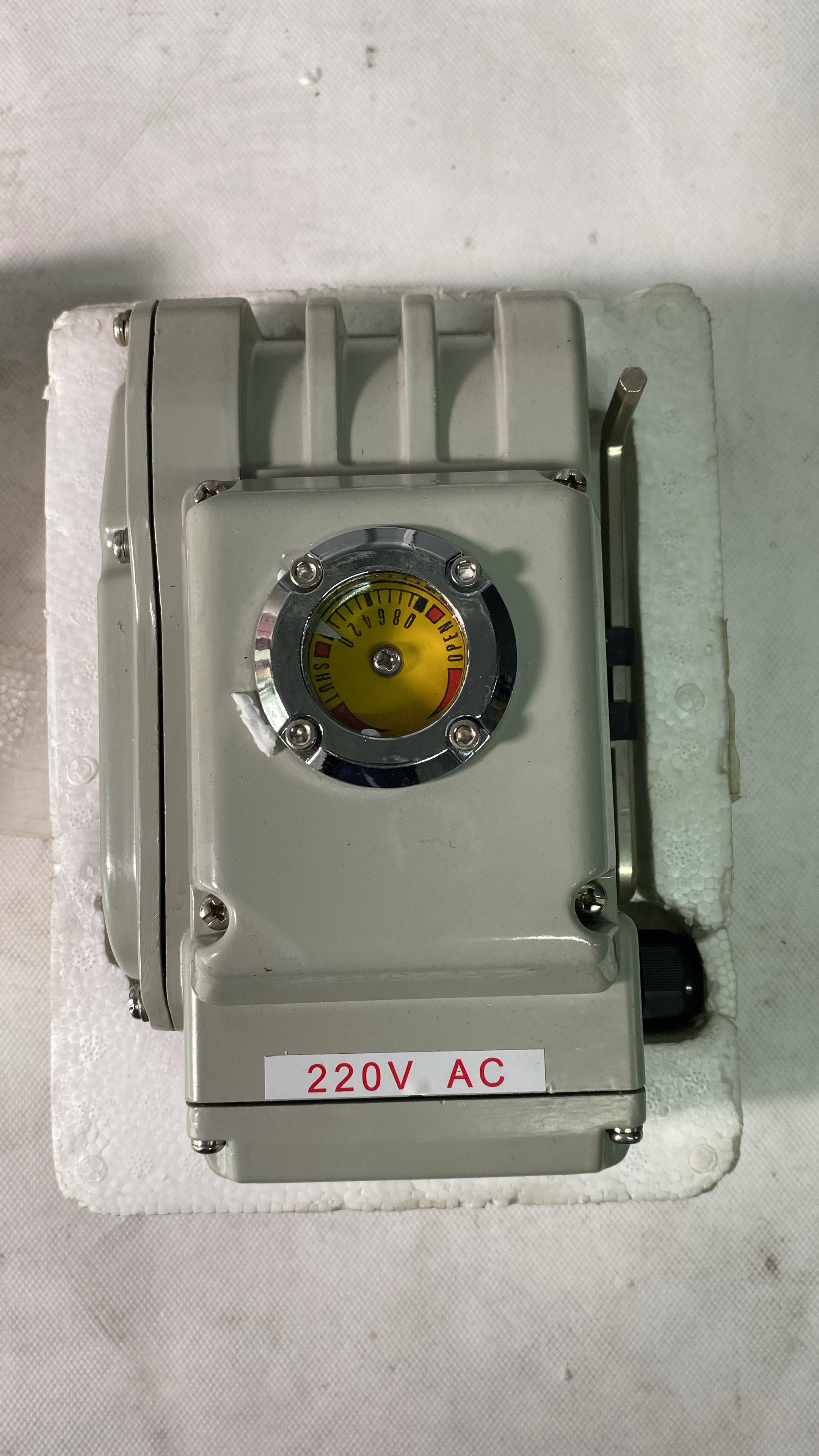 Electric valve actuator